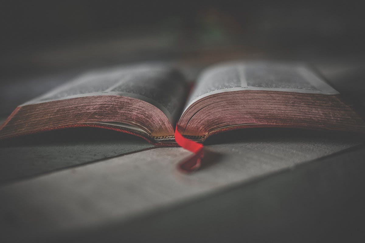 Scan a Bible verse and get a SOAP study journal